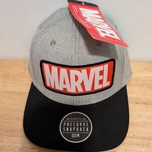 Mens Baseball Cap Bioworld Precurve Snapback OSFM Brand New with tag